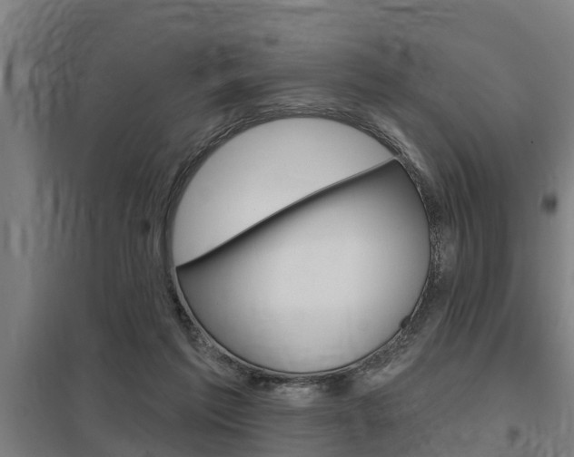 X0000098030213200803280739