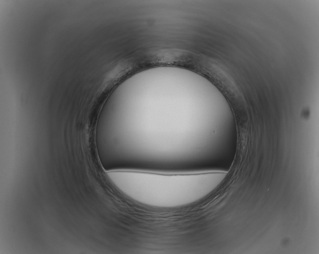 X0000098030216200803280738