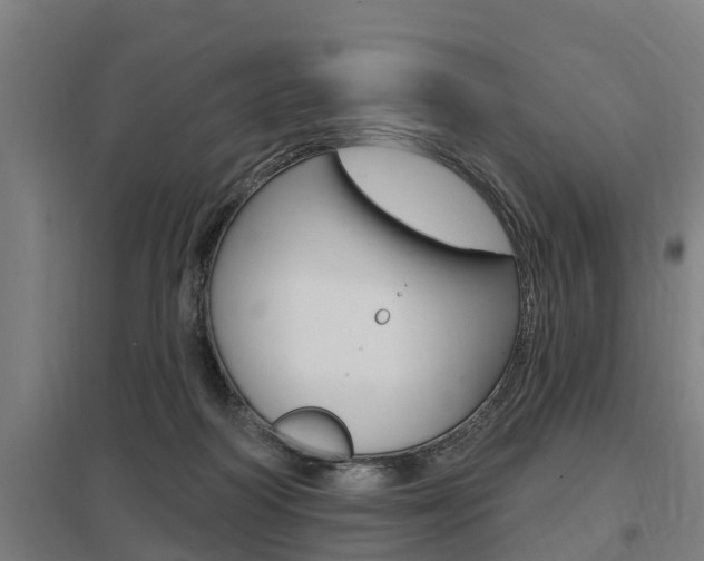 X0000098030218200803280738