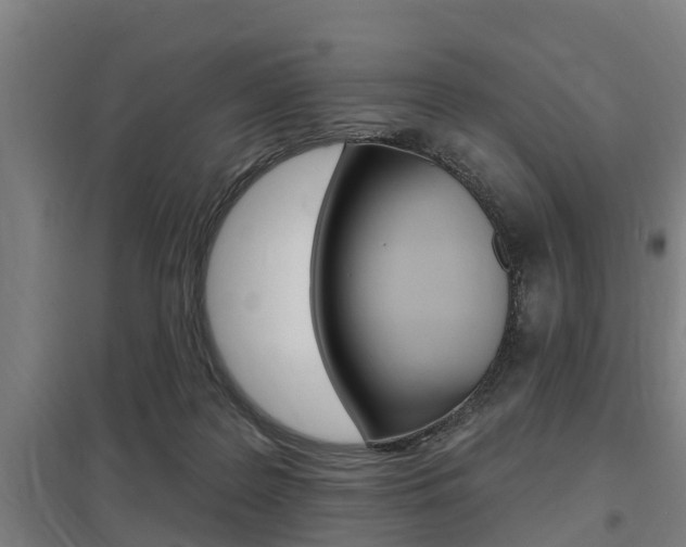 X0000098030219200803280738