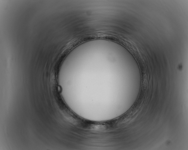 X0000098030220200803280738