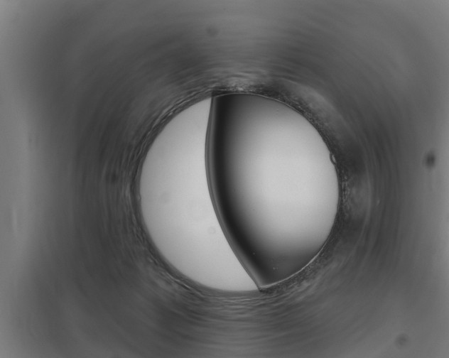X0000098030221200803280738