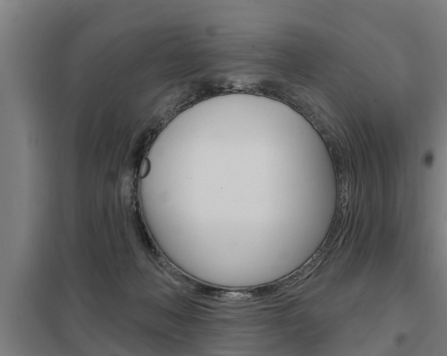 X0000098030222200803280738