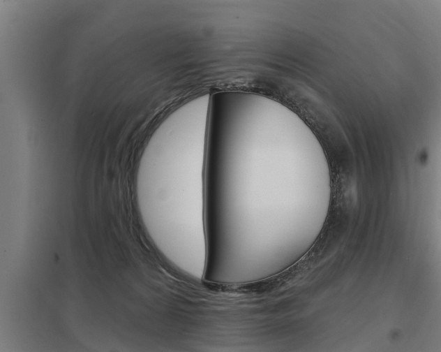 X0000098030224200803280738
