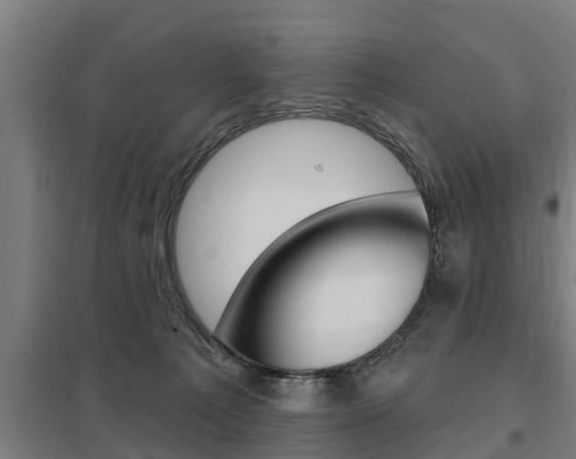 X0000098030225200803280738