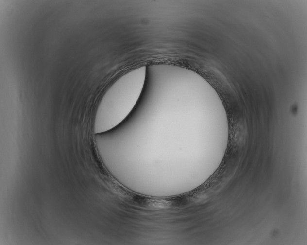 X0000098030226200803280738