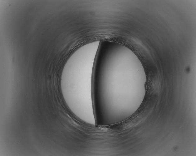 X0000098030227200803280738