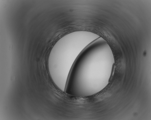 X0000098030229200803280738
