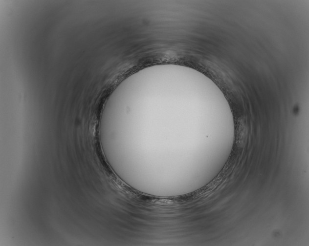 X0000098030230200803280738