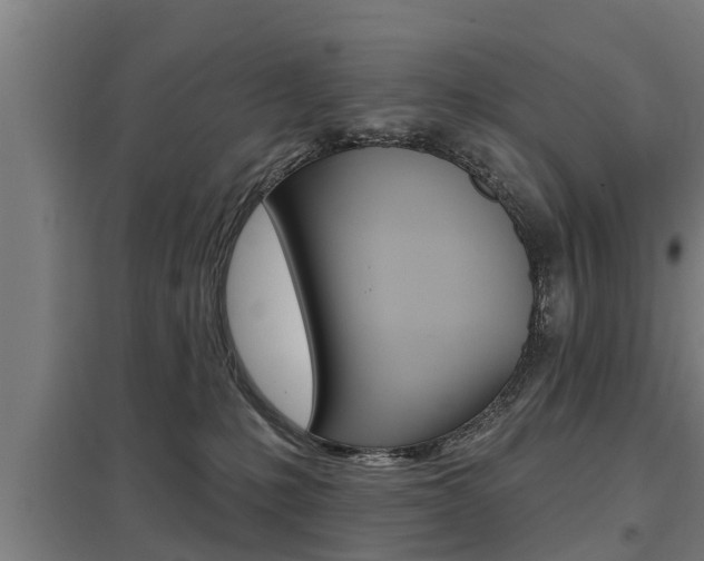 X0000098030231200803280738