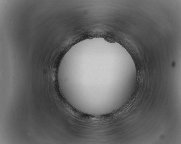 X0000098030232200803280738