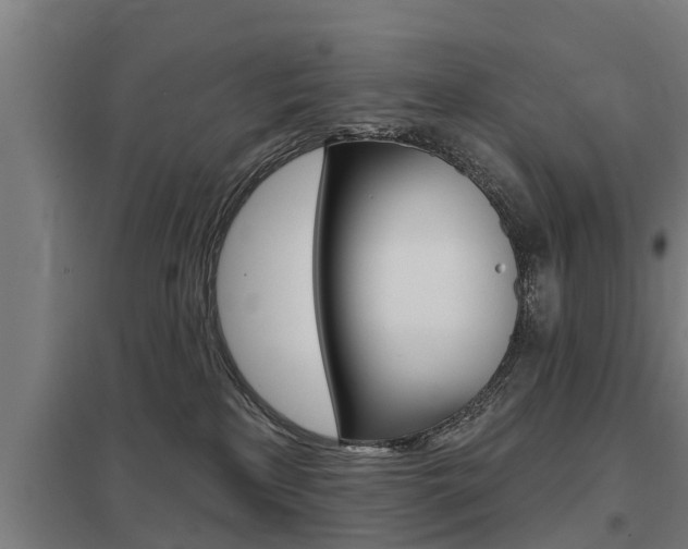 X0000098030233200803280738