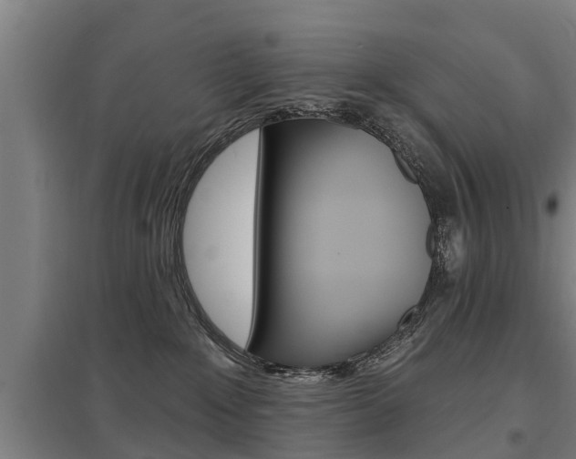 X0000098030235200803280738