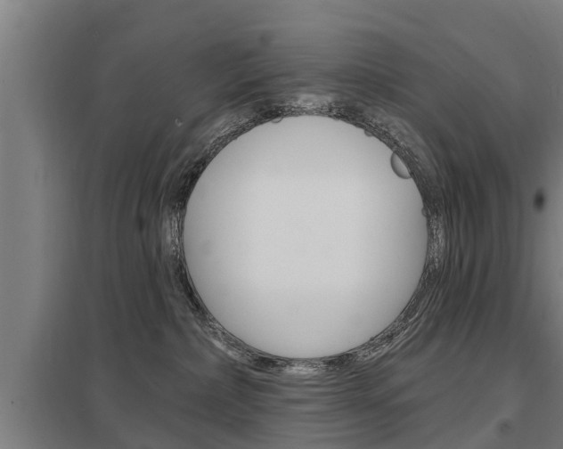 X0000098030236200803280738