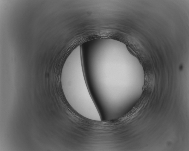 X0000098030237200803280738