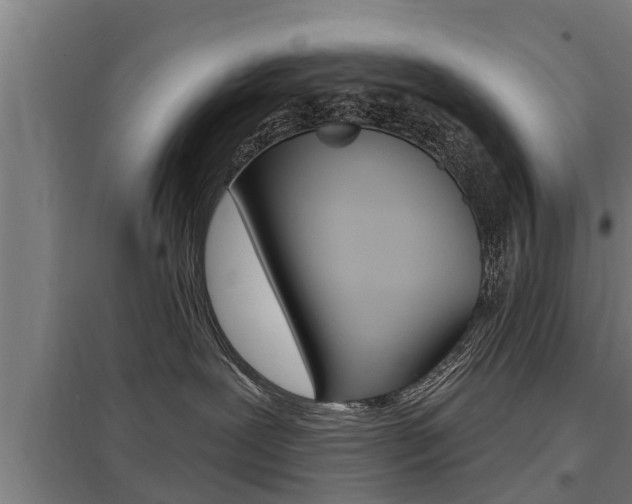 X0000098030239200803280738