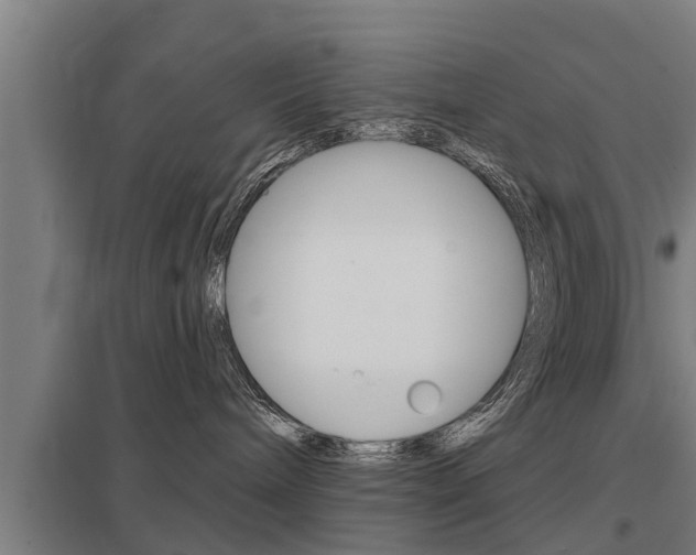 X0000098030240200803280738