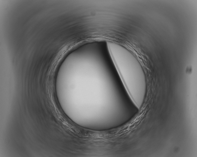 X0000098030241200803280737