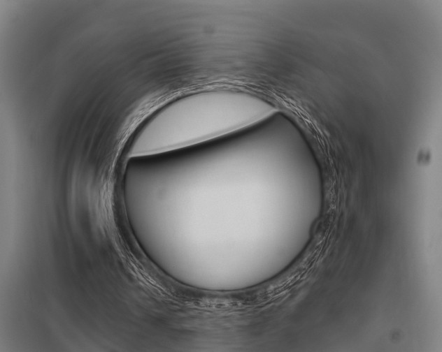 X0000098030242200803280738