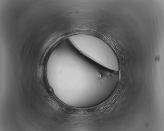 X0000098030243200803280738