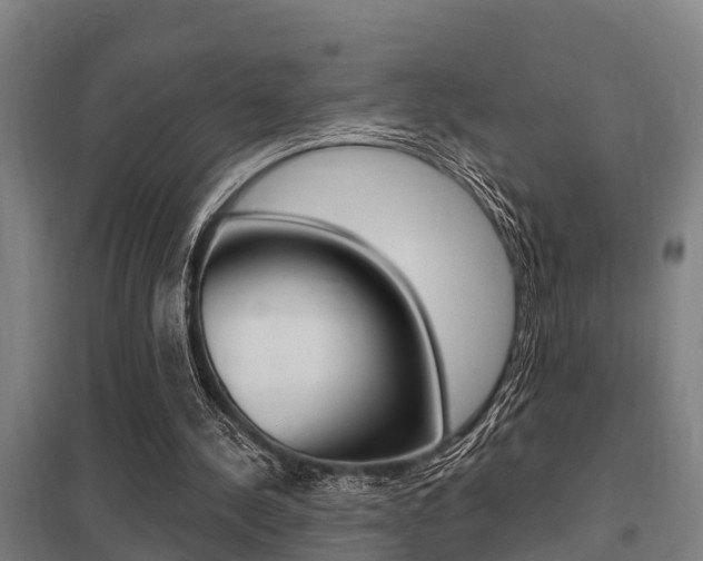 X0000098030244200803280738