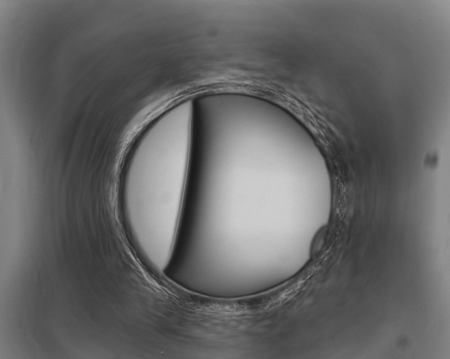 X0000098030245200803280738