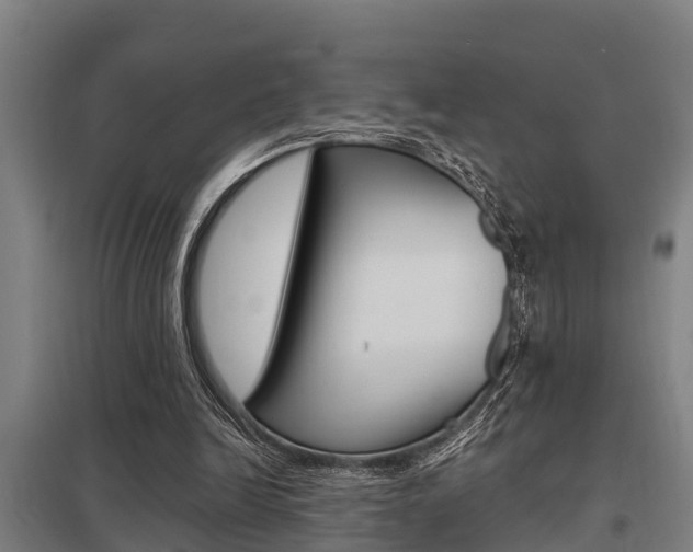 X0000098030246200803280738