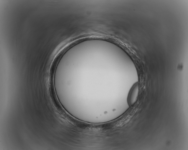 X0000098030247200803280738