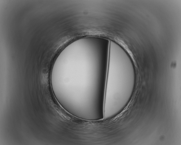 X0000098030249200803280738