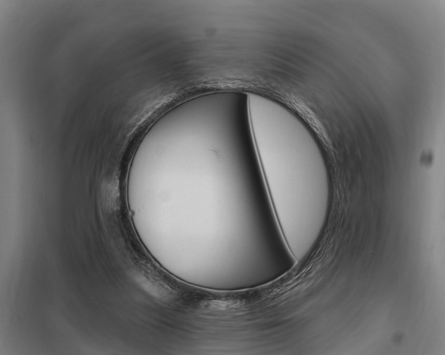X0000098030251200803280738