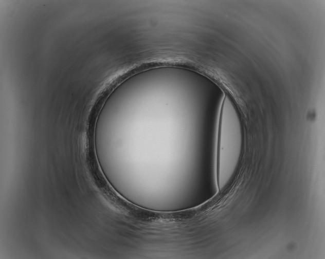X0000098030252200803280738