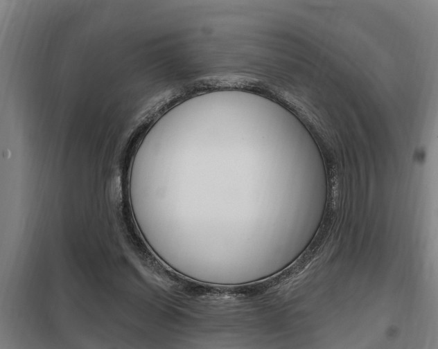 X0000098030254200803280738