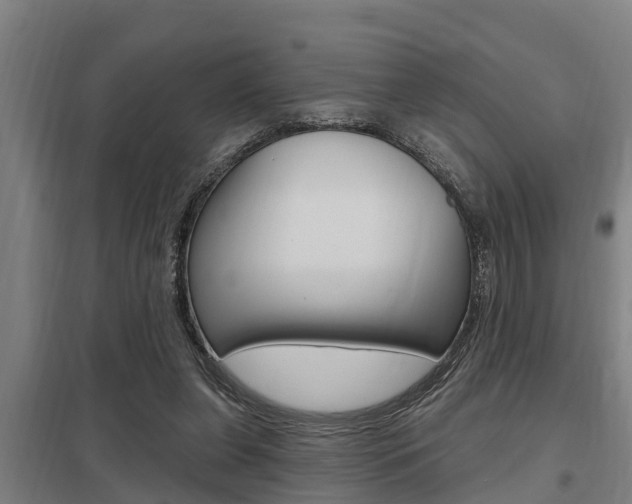 X0000098030255200803280738