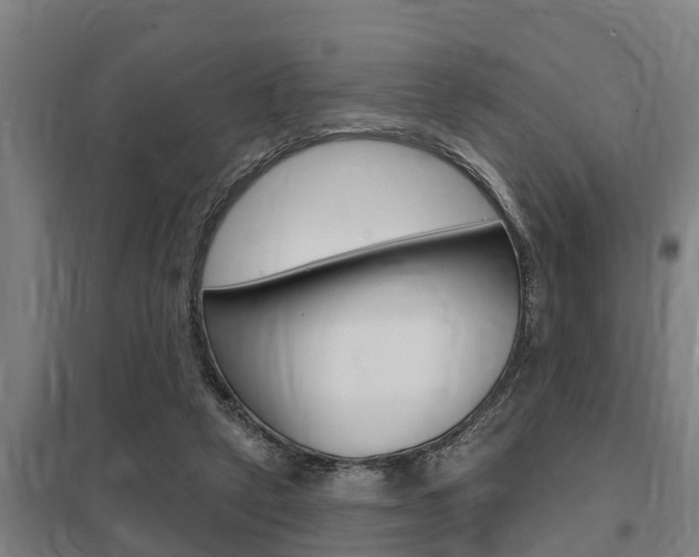 X0000098030257200803280738