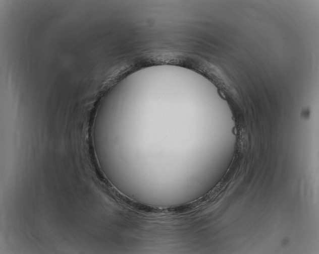 X0000098030259200803280738