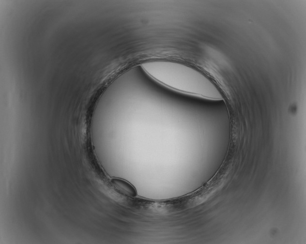 X0000098030261200803280738