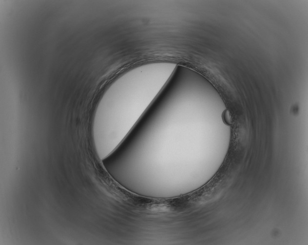 X0000098030262200803280738