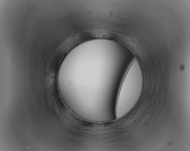 X0000098030263200803280738
