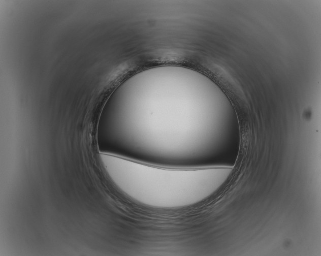 X0000098030264200803280738