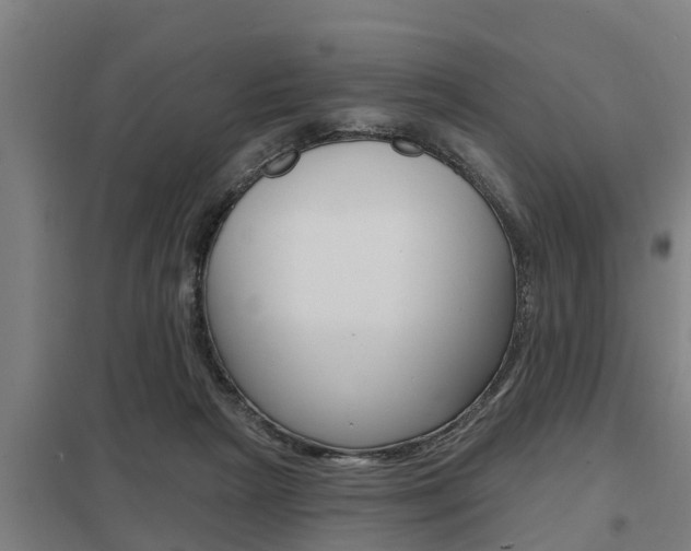 X0000098030265200803280738