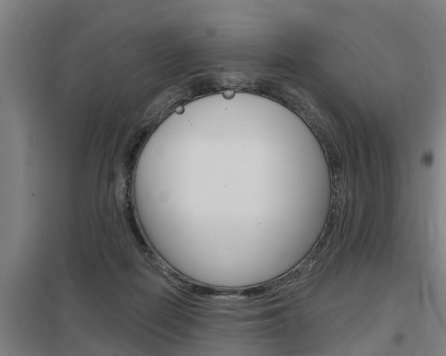 X0000098030266200803280738
