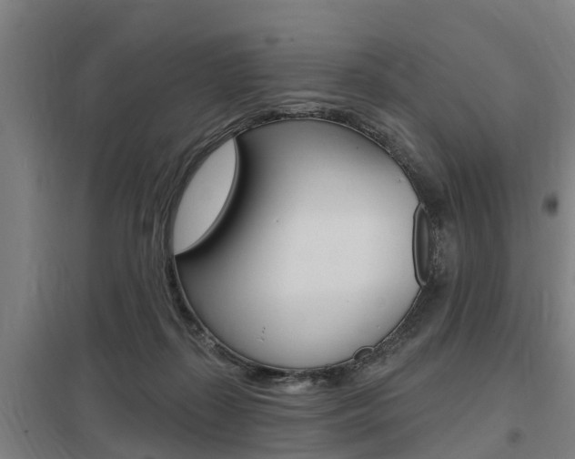 X0000098030267200803280738