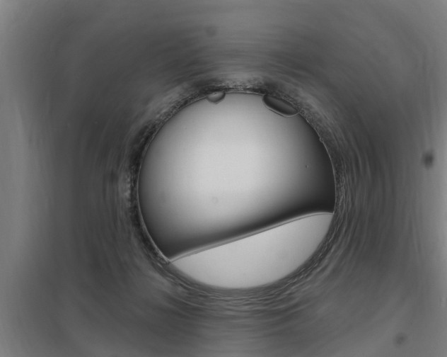 X0000098030268200803280738