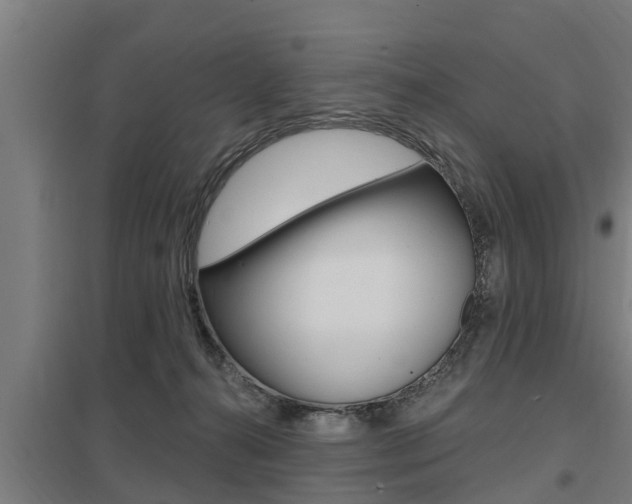 X0000098030272200803280738