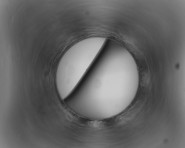X0000098030273200803280738