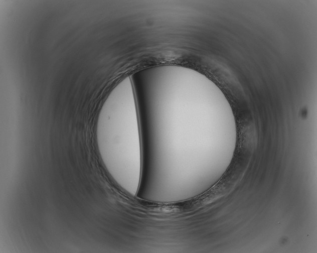 X0000098030274200803280738