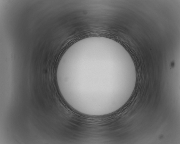 X0000098030276200803280738