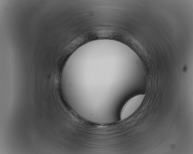 X0000098030277200803280738