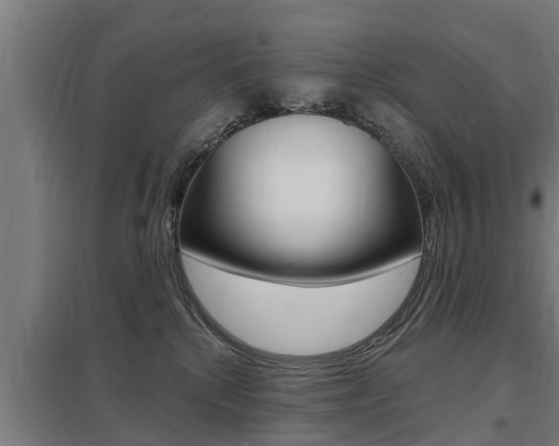 X0000098030280200803280738