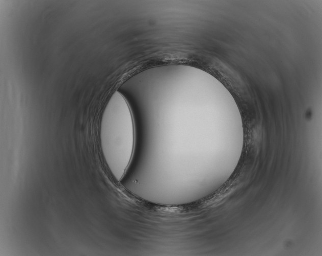 X0000098030281200803280738